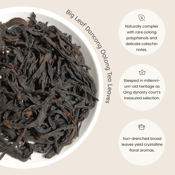 Mistpeak Green Tea - Image 4